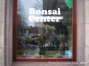 BONSAI SHOP