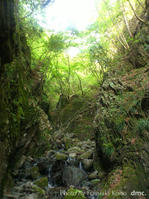 棒ノ折山