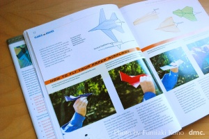 PLANES FOR BRAINS