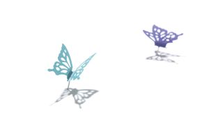 butterflypin